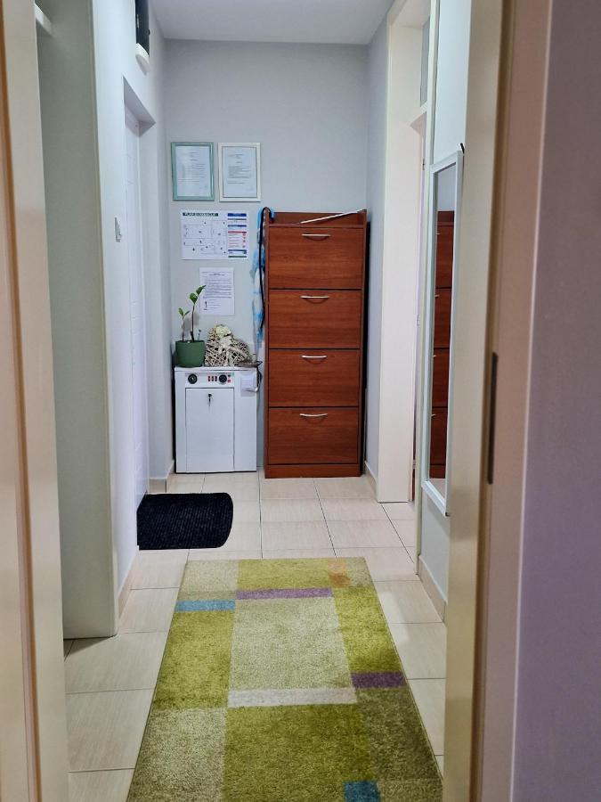 דירות סרמסקה מיטרוביקה Quiet Center מראה חיצוני תמונה